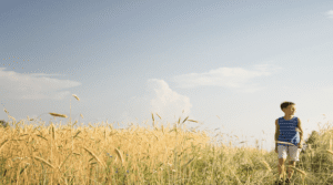 Agripower : La restructuration se poursuit