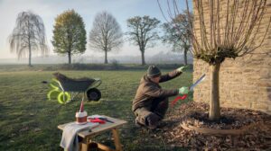 Jardin en d&eacute;cembre 2025 : voici les 5 arbres &agrave; &eacute;laguer tout de suite (et l&rsquo;erreur qui ruine la floraison des fruitiers)