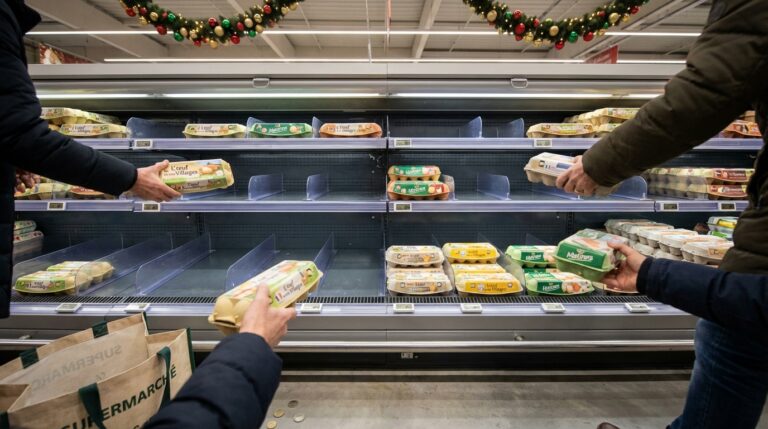 No&euml;l 2024 : p&eacute;nurie d&rsquo;&oelig;ufs, rayons vides, importations douteuses&hellip; ce que les experts conseillent avant de remplir votre frigo