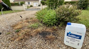 AdBlue comme d&eacute;sherbant : ce &laquo;&nbsp;truc de voisin&nbsp;&raquo; br&ucirc;le les herbes mais pollue votre sol et peut vous co&ucirc;ter jusqu&rsquo;&agrave; 150 000 &euro; d&rsquo;amende