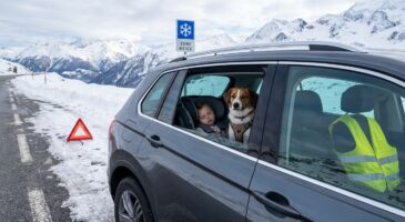 Voiture 2026 : ces &eacute;quipements obligatoires que vous oubliez encore peuvent vous co&ucirc;ter jusqu&rsquo;&agrave; 375 &euro; d&rsquo;amende, gilet jaune et chien compris
