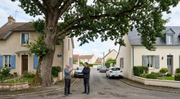 Arbre du voisin qui ab&icirc;me votre maison mais vos terrains ne se touchent pas : ce que vous pouvez vraiment couper (et l&rsquo;amende que vous risquez)