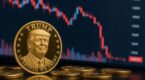 Memecoin TRUMP : comment ce jeton a provoqu&eacute; des milliards de pertes pour pr&egrave;s d&rsquo;un million de petits investisseurs