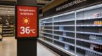 Pizzas, th&eacute;, caf&eacute; : la liste surprenante des 10 produits dont les ventes s&rsquo;effondrent en supermarch&eacute; avec la canicule
