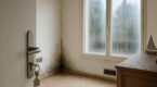 R&eacute;sidence secondaire : ce mauvais r&eacute;flexe en partant qui transforme votre maison en pi&egrave;ge &agrave; condensation et moisissures