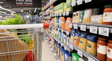 Supermarchés : dans cette enseigne très connue, vos courses vous coûtent 14% plus cher que chez Leclerc en 2026