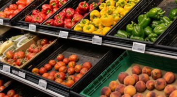 Fruits et l&eacute;gumes plus petits, &lsquo;moches&rsquo; et plus chers : la nouvelle norme qui s&rsquo;installe dans les rayons et sur votre ticket de caisse