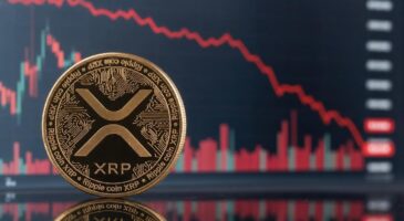 XRP s&rsquo;effondre sous 1 dollar : la raison de ce paradoxe se cache dans un indicateur que les investisseurs ignorent
