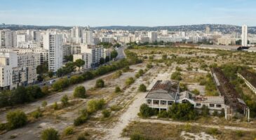 Crise du logement : la France poss&egrave;de un tr&eacute;sor foncier de 61 000 hectares dans les zones les plus tendues