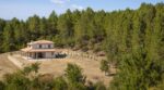 Acheter une maison pr&egrave;s d&rsquo;une for&ecirc;t : cette obligation l&eacute;gale oubli&eacute;e qui peut vous co&ucirc;ter des milliers d&rsquo;euros en amendes
