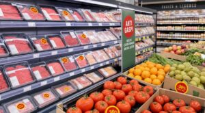 Lidl : ne cherchez plus les barquettes &agrave; 0,50&euro; au hasard, voici les 2 cr&eacute;neaux horaires cl&eacute;s pour les trouver